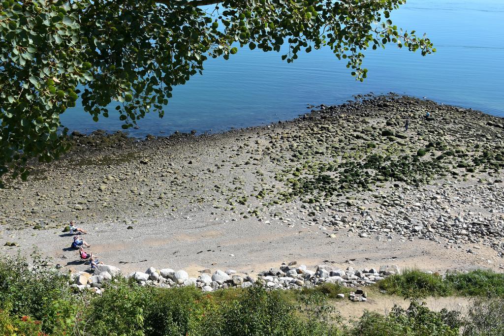 Saint-Siméon Motel Et Chalets Bo-Fleuve Evangeline מראה חיצוני תמונה